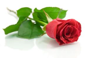 8. marec